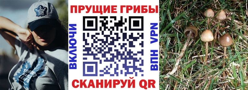 Псилоцибиновые грибы ЛСД  Йошкар-Ола 